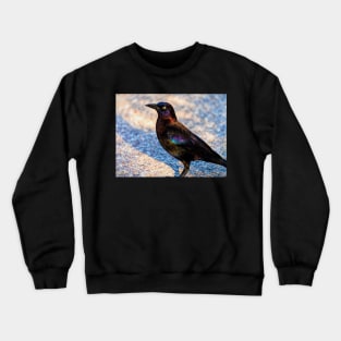 Iridescent Crewneck Sweatshirt